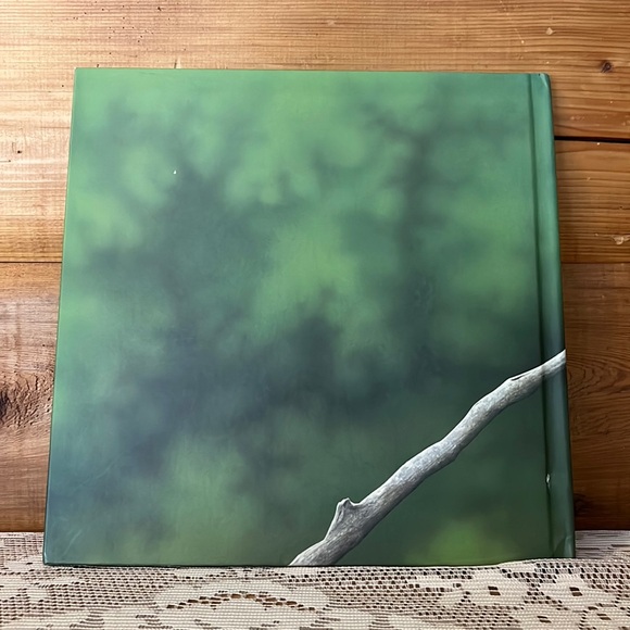 Verdi, Janell Cannon - Picture 2 of 9